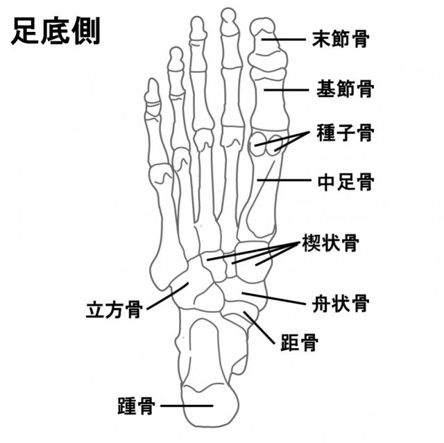 足底筋膜炎へのアプローチの仕方は?