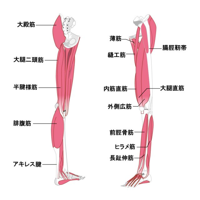 捻挫への当院のアプローチは?