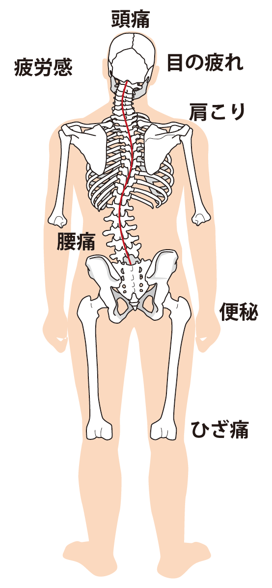 眼精疲労の原因になるものは？