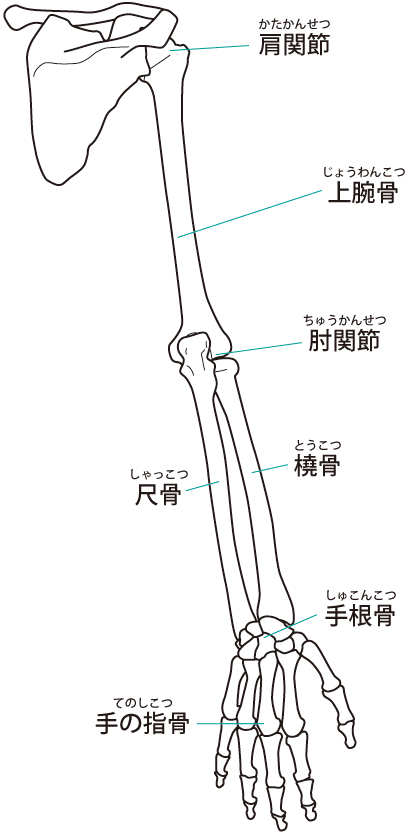 ヘバーデン結節の原因になるものは?