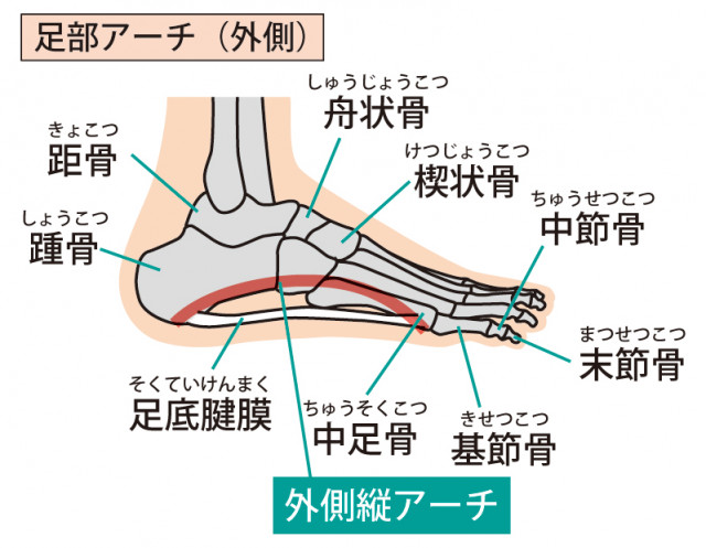 外反母趾の原因になるものは？