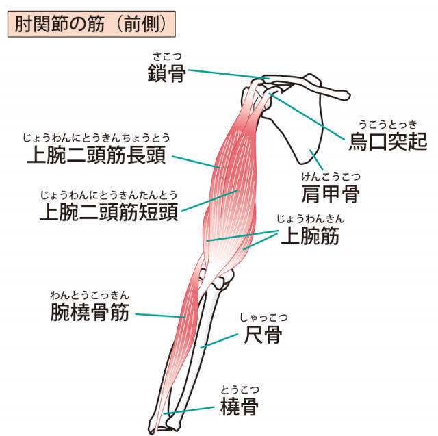手根管症候群への当院のアプローチは?